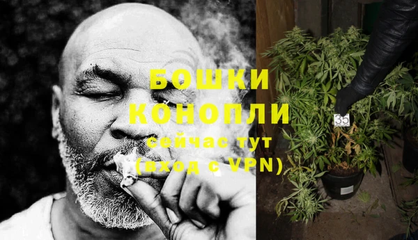 мдма Новозыбков