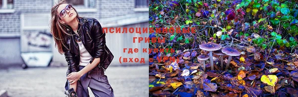 марки lsd Нея