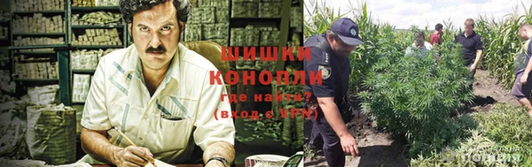 каннабис Новодвинск
