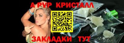 шишки Дубна