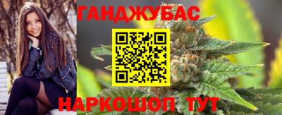 шишки Дубна