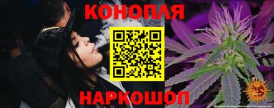 шишки Дубна