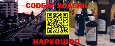 шишки Дубна