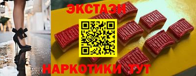 шишки Дубна
