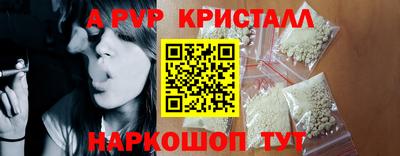 шишки Дубна