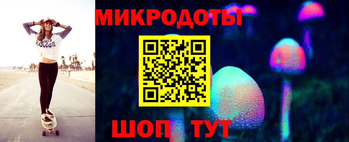 Галлюциногенные грибы Psilocybine cubensis Лосино-Петровский
