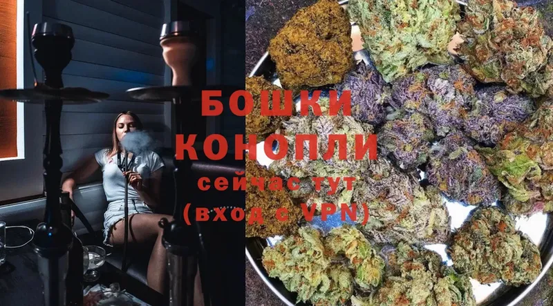 KRAKEN зеркало  Лосино-Петровский  Марихуана THC 21% 