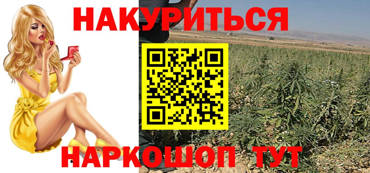 Канабис сатива Лосино-Петровский